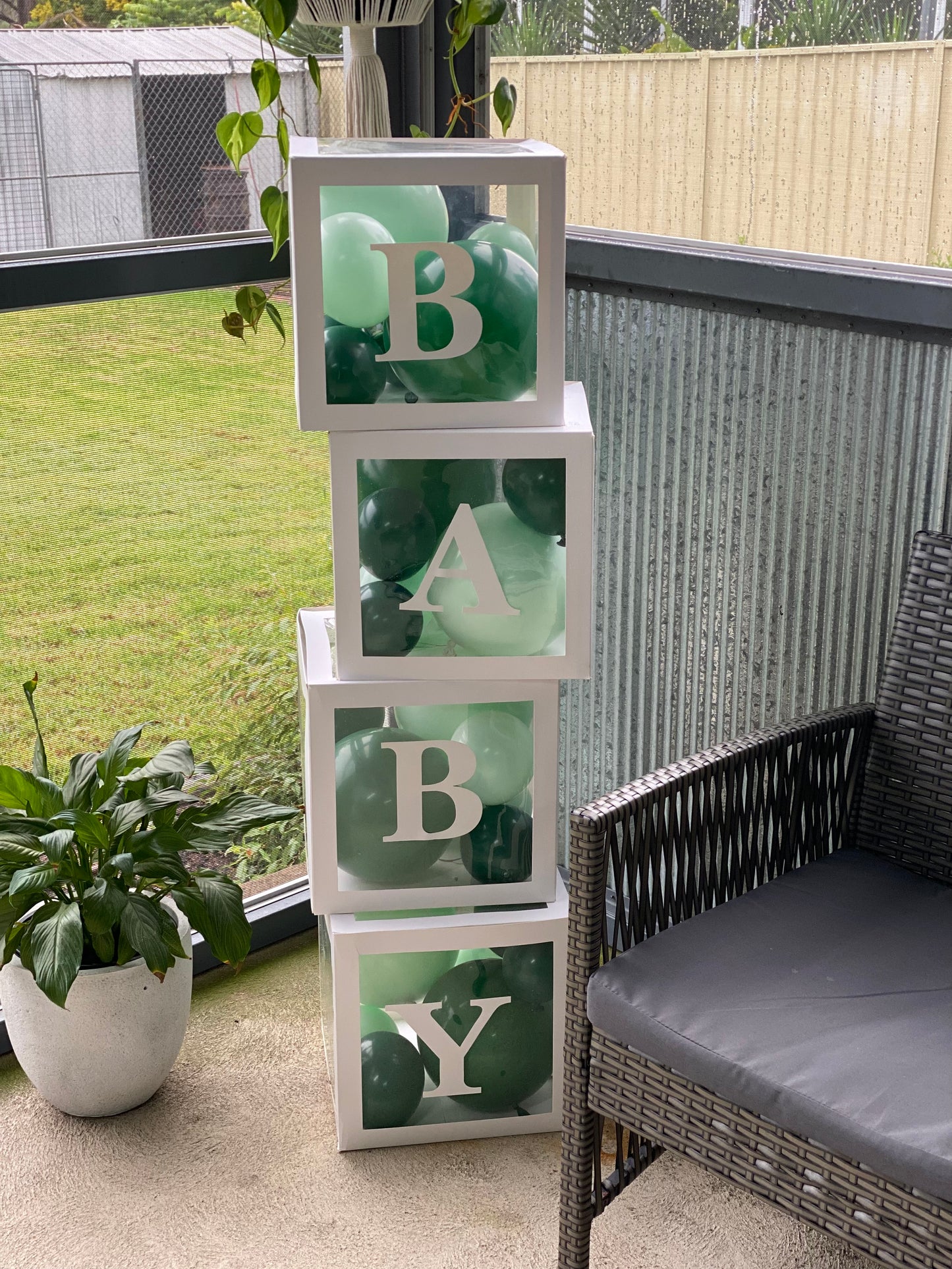 Baby Shower Package