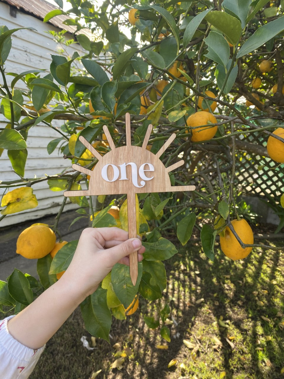 One Sun Cake Topper